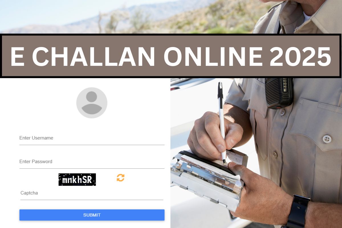 E Challan Online 2025