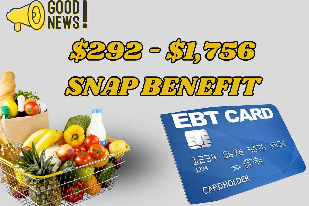 $292 - $1,756 SNAP Benefit June 2025