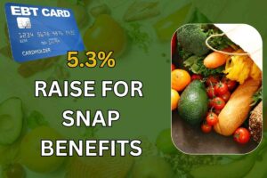 5.3% Raise For SNAP Benefits, June 2025 – Check Food Stamp New Amount After Increase