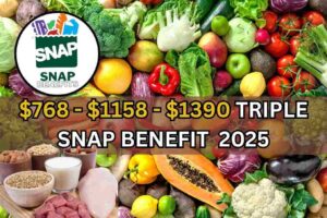 $768 – $1158 – $1390 Triple SNAP Benefit In June 2025 – Check Payment Date