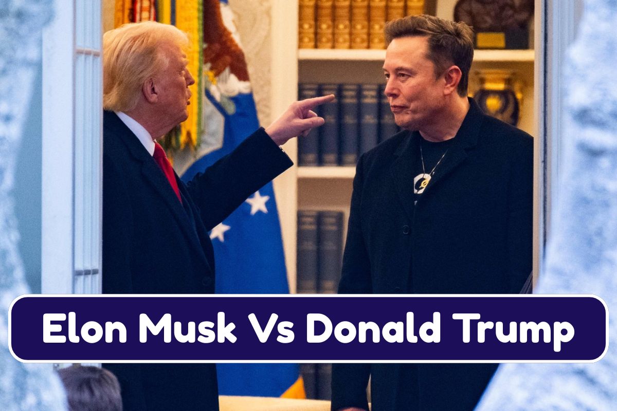 Elon Musk Vs Donald Trump: Reason, Allegations & Impact