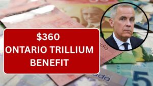 $360 Ontario Trillium Benefit July 2025: OTB Payment Date, Eligibility